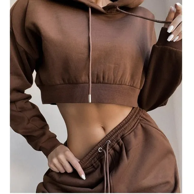 Brielle Crop Sweatshirt & Sweatpants Two Piece Set