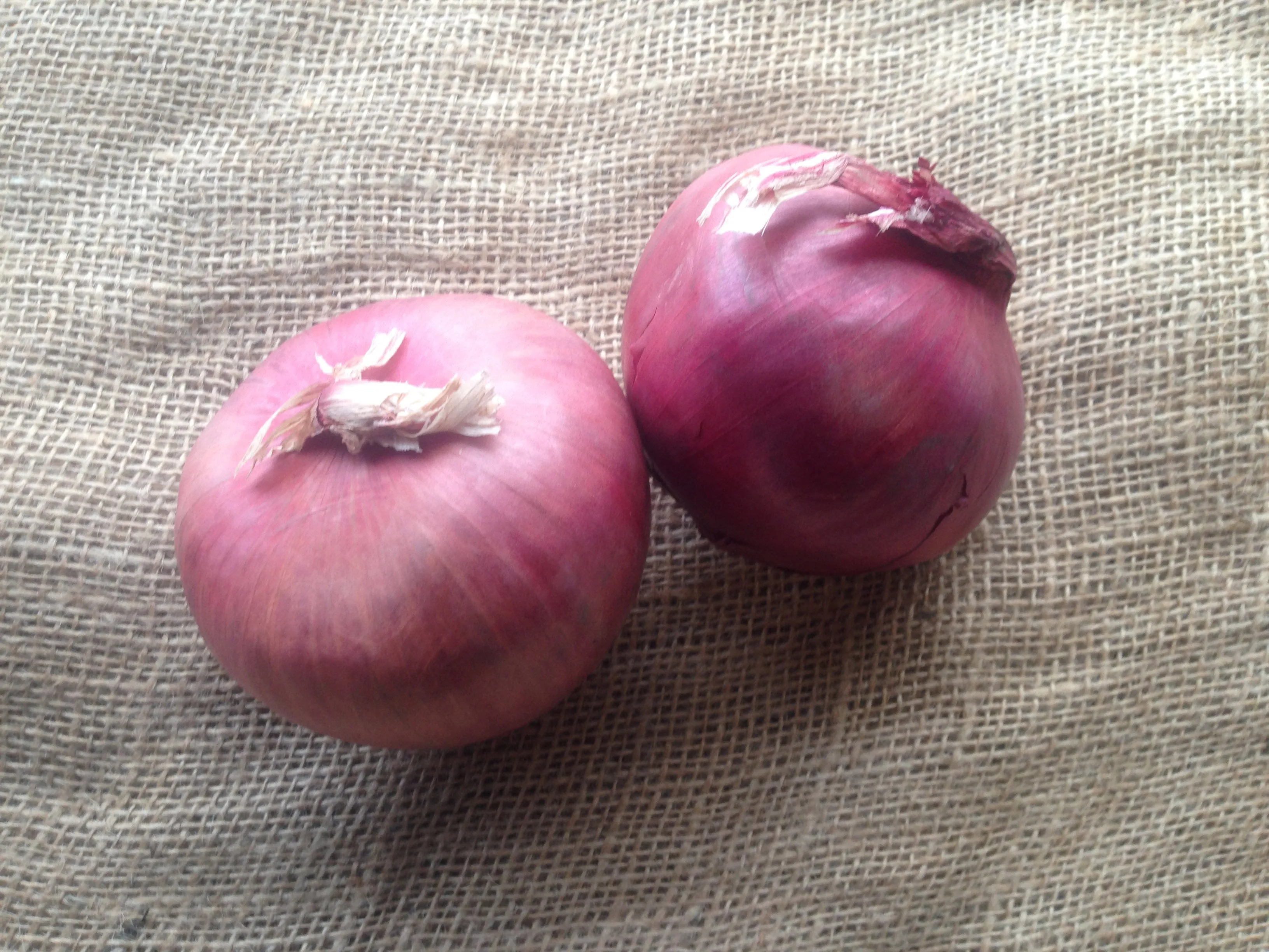 Onions - Red