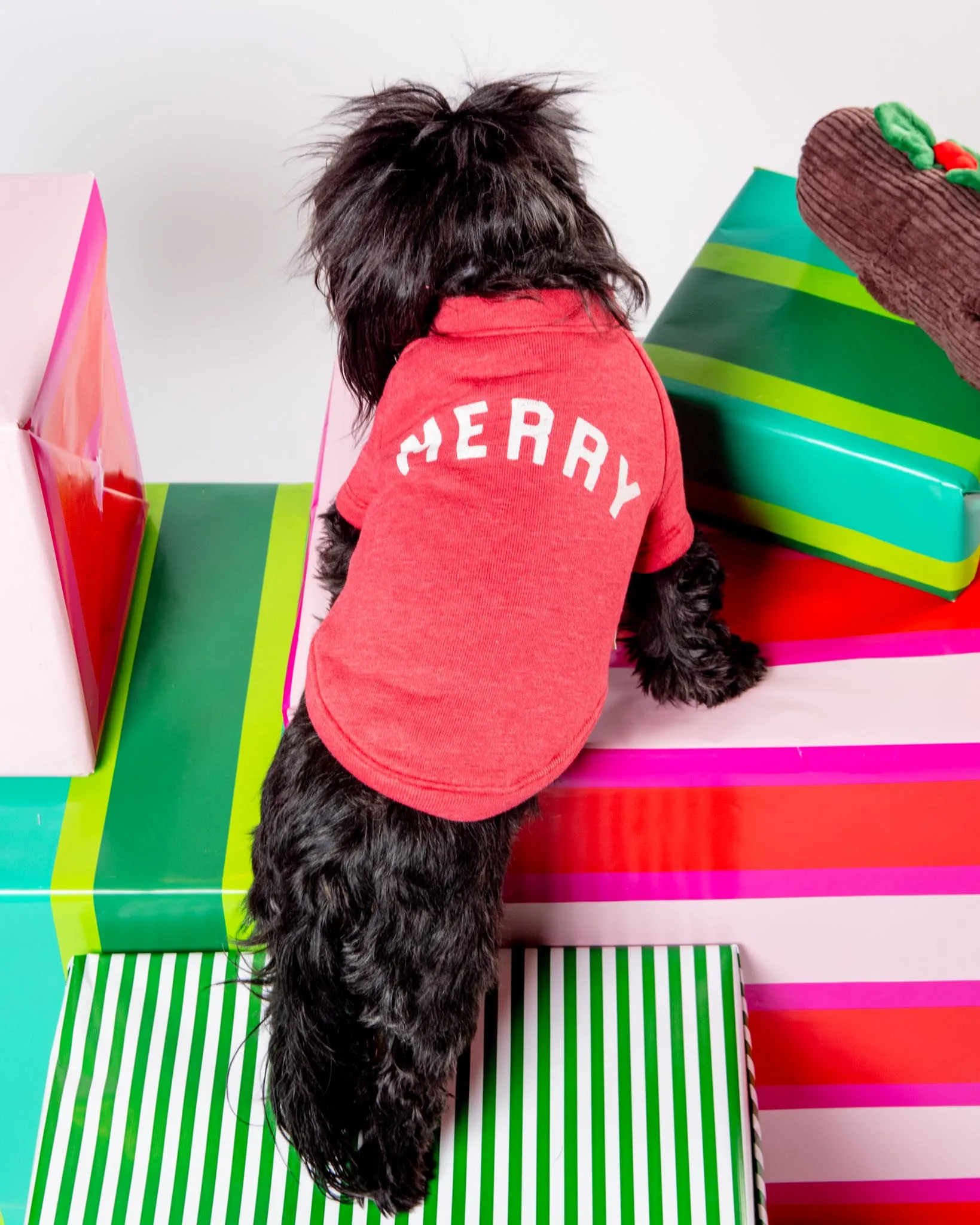 "Merry" Holiday Sweatshirt for Dogs