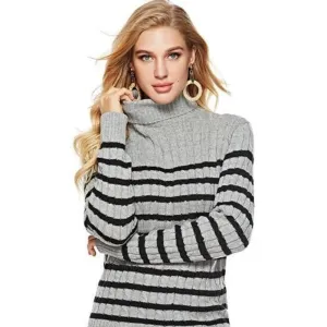 Womens Striped Slim Fit Turtle Neck Sweater